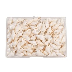 Платиновый & Золотой 100шт 2 цвета натуральные спиральные подвески в форме ракушек, Подвески в форме ракушек, обернутые медной проволокой, платиной и золотом, 21~28x7~10x6~8 мм, отверстие : 3.5 мм, 50 шт / цвет