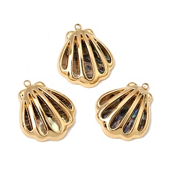 Golden Marine Organism Theme Natural Shell Pendants, Shell Shape Charms, with 304 Stainless Steel
 Findings, Golden, 22.5x19x5mm