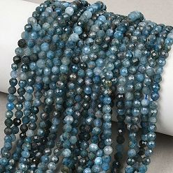 Апатит Природного апатита нитей бисера, граненые, круглые, 3 мм, отверстие : 0.6 мм, около 119~120 шт / нитка, 14.96''~15.16'' (38~38.5 см)