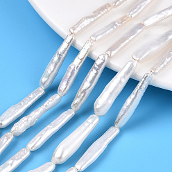 Морская Ракушка Натуральный жемчуг в стиле барокко, культивированный пресноводный жемчуг, придерживаться, цвет морской раковины, 18.5~26.5x3.5~7x2~5.5 мм, отверстие : 0.6 мм, около 16 шт / нитка, 15.35~15.87 дюйм (39~40.3 см)