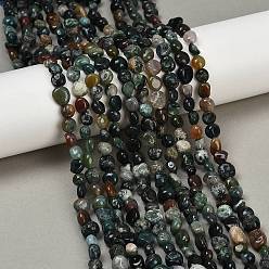 (RRHB277) Кристалл на подкладке из медово-бежевого цвета Природного индийского агата бисер нитей, самородки, упавший камень, 6~11x6~8x4~7 мм, отверстие : 1 мм, около 49~51 шт / нитка, 15.35~15.75'' (39~40 см)