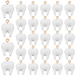 Белый 30подвески из непрозрачной смолы, зуб, с золотыми тонами железных петель, белые, 21x15x6.5 мм, отверстие : 2 мм