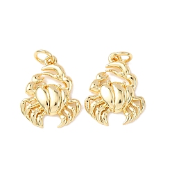 Краб Латунные подвески, морские животные амулеты, без кадмия и без свинца, стойки покрытие, долговечный, с целью перехода в кольце, краб, 17.5x14x3 мм, отверстие : 3 мм