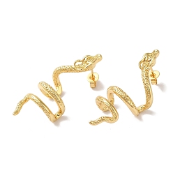 Golden Snake Brass Ear Studs, Stud Earrings for Women, Golden, 38x14mm