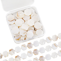 (404) Непрозрачное AB Кислое яблоко 2 нити из натуральных пресноводных бусин из ракушек, шестиугольник, цветочный белый, 16.5~17x15.5~16x3 мм, отверстие : 0.8 мм, около 21 шт / нитка, 13.9 дюйм