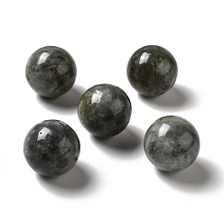 Labradorite Natural Labradorite Beads, No Hole/Undrilled, Round, 25~25.5mm