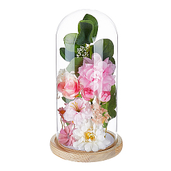 BurlyWood Clear Glass Dome Cover, Decorative Display Case, Cloche Bell Jar Terrarium with Wood Base, BurlyWood, 14.3x27.6cm