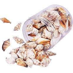 Peru Natural Spiral Shell Beads, Peru, 41~50x21~22x16~19mm, Hole: 1mm, about 96~99pcs/box