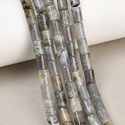 Лабрадорита Природные лабрадорита бисер нитей, колонка, 7.5~9x5~5.5 мм, отверстие : 0.7~0.8 мм, около 48 шт / нитка, 15.35'' (39 см)