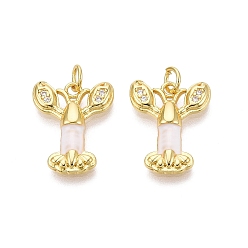 Белый Латунные микропаве прозрачные подвески с фианитом, креветки прелести, с эмалью, золотые, белые, 18.5x14.5x2.5~3 мм, отверстие : 3 мм, Перейти кольцо: 5x0.8 мм, внутренний диаметр: 3 мм