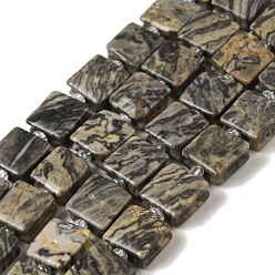 Камень Карты Натуральная карта каменные бусы пряди, квадратный, с бисером, 10~10.5x10~10.5x5~5.5 мм, отверстие : 1.6 мм, около 32 шт / нитка, 15.16~15.35 дюйм (38.5~39 см)