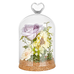 Прозрачный Стеклянный купол, декоративная витрина, Террариум в форме колокольчика с пробковым основанием, арка, прозрачные, 164x91 мм