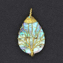 Golden Natural Paua Shell Pendants, Teardrop with Tree of Life, Golden, 38x22mm