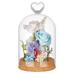 Прозрачный Стеклянный купол, декоративная витрина, Террариум в форме колокольчика с пробковым основанием, арка, прозрачные, 195x91 мм