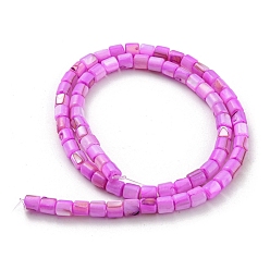 Mixed Color Natural Freshwater Shell Beads Strands, Dyed, Column, Mixed Color, 4~5.5x5mm, Hole: 0.6mm, about 74~75pcs/strand, 14.76~14.96 inch(37.5~38cm)