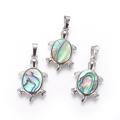 Раковина Кулон с панцирем, с латунной фурнитурой , черепаха, 31.5x18.5x3.5 мм, отверстие : 4.5x6.5 мм