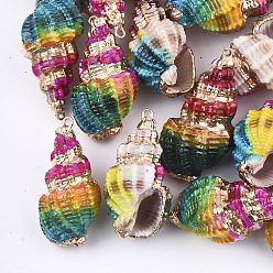 Colorful Spray Painted & Electroplate Spiral Shell Pendants, with Iron Findings, Light Gold, Colorful, 31~43x17~21x15~19mm, Hole: 1.5mm
