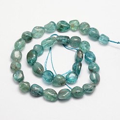 Apatite Natural Apatite Bead Strands, Tumbled Stone, Nuggets, 6~12x6~13mm, Hole: 1mm, about 15.74 inch