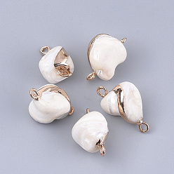 Морская Ракушка Гальванические соединители звеньев трохуса, с железной фурнитурой, самородки, золотые, морская ракушка, 17~23x11~14x10~15 мм, отверстие : 2 мм