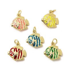 (52) Непрозрачная лаванда Латунь эмаль подвески, рыбы прелести, без свинца и без кадмия, долговечный, стойки покрытие, реальный 18 k позолоченный, разноцветные, 18x17.5x5.5 мм, отверстие : 3.5 мм
