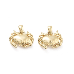 Настоящее золото 18K Краб стойка покрытие латунные подвески, без кадмия и без свинца, долговечный, реальный 18 k позолоченный, 13x16.5x4 мм, отверстие : 2.5x3.5 мм