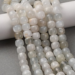 White Moonstone Натуральный белый лунный камень бисер пряди, бочкообразные бусины старого образца, 8~8.5x7~7.5 мм, отверстие : 0.7~0.9 мм, около 51~55 шт / нитка, 14.96~15.35'' (38~39 см)