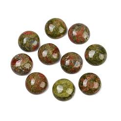 Унакит Кабошоны из камня, полукруглые / купольные, Unakite, 16x5 мм