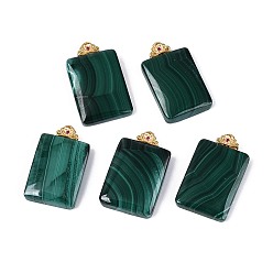 Малахит Природного малахита подвески, прямоугольник амулеты, с поручительств стерлингового серебра, золотые, 28.5~30x17.5~18.5x4.5~5.5 мм, отверстие : 1.5x3.5 мм