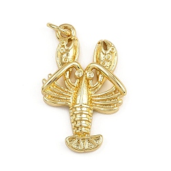 Золотой Латунные подвески, омар, с целью перехода в кольце, золотые, 26x16.5x3.5 мм, отверстие : 3 мм