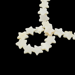 Other Sea Shell Star Shape Natural Sea Shell Beads Strands, 14~15x15~16x2.5~4mm, Hole: 1mm, about 30pcs/strand, 15.7