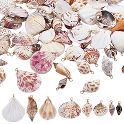 Mixed Color 96Pcs 8 Styles Shell Pendants, with Copper Wire, Mixed Color, 15~47mm, Hole: 2~3mm, 12pcs/style