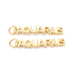 Водолей Латунные подвески, с прыжковых колец, долговечный, знак созвездия / зодиака, золотые, Водолей, водолей: 4x25.5x1.5 мм, отверстие : 3 мм