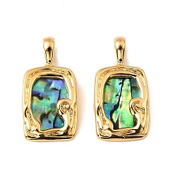 Настоящее золото 18K Подвески-прямоугольники из натуральной ракушки пауа, с латунной, реальный 18 k позолоченный, 24x12.5x5 мм, отверстие : 4.5x2.5 мм