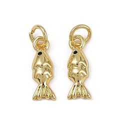 Настоящее золото 18K Латунные микро проложить кубического циркония прелести, рыба, с целью перехода в кольце, долговечный, без кадмия и без свинца, стойки покрытие, реальный 18 k позолоченный, 14x5x3 мм, отверстие : 3 мм