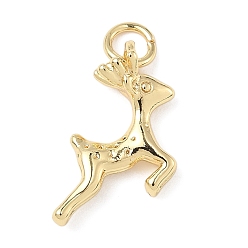 Олень Латунь прелести, без кадмия и без свинца, реальный 18 k позолоченный, с целью перехода в кольце, олень, 14x13x4.5 мм, отверстие : 3 мм