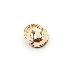 Light Gold Alloy D Shape Rings Purse Clasps, with Iron Screws, Closure for Purse Handbag, Light Gold, 1.25x2.5cm