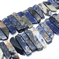 Sodalite Sodalites naturelles brins de perles, perles percées, rectangle, 25~56x8~13x6~8mm, Trou: 2mm, Environ 34~38 pcs/chapelet, 14.17 pouce (36 cm)