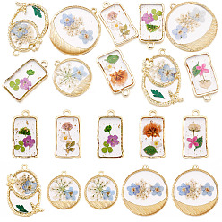 Mixed Shapes 10Pcs 2 Styles Transparent Resin Pendants, with Dried Flower & Golden Tone Alloy Findings, Mixed Color, Mixed Shapes, 24~32x14.5~28.5x2.5~3mm, Hole: 1.6~2mm, 5pcs/style 