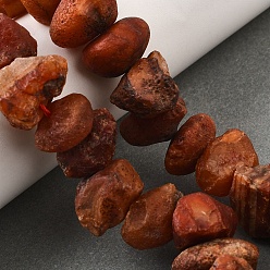 Красный Агат Природного сердолика нитей бисера, необработанный грубый камень, самородки, 7~25x8~24.5x5~16 мм, отверстие : 0.9~1 мм, около 14~28 шт / нитка, 7.48''~8.43'' (19~21.4 см)