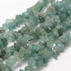 Apatite Perles naturelles apatite brins, nuggets, 7~14x2~7x2.5~5mm, Trou: 1mm, 18.1 pouce (46 cm)