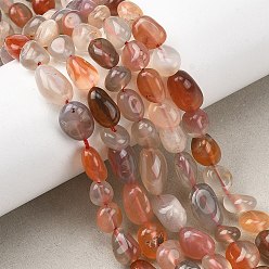 Натуральный Агат Природный агат бисер нитей, самородки, упавший камень, 6~12x5~8.5x4~8 мм, отверстие : 0.8~1 мм, около 40~52 шт / нитка, 15.16''~15.94'' (38.5~40.5 см)