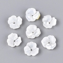 Морская Ракушка Натуральный белый бусы, цветок, цвет морской раковины, 10x10x3 мм, отверстие : 1 мм