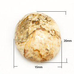 Пейзажный Джаспер Кабошоны из камня, овальные, картина яшма, 20x15x5 мм