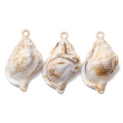 Белый Навахо Акриловые подвески из имитационной оболочки, подвески в форме раковины, навахо белый, 15x12x9 мм, отверстие : 1.8 мм, Около 86 шт / 500 г