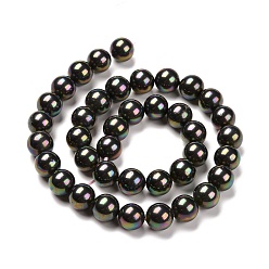 Black Shell Pearl Bead Strands, Rainbow Plated, Grade A, Round, Black, 16mm, Hole: 1mm, about 26pcs/strand, 16 inch