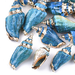 Темно-Голубой Аэрозольная краска и гальванические спиральные подвески, с железной фурнитурой, золотой свет, глубокое синее небо, 36~50x16~24x14~20 мм, отверстие : 2 мм