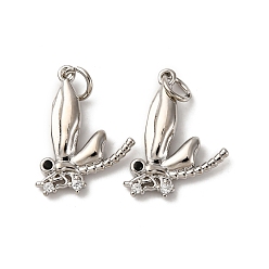 Платина Латунные микро проложить кубического циркония подвески, долговечный, без кадмия и без свинца, стойки покрытие, с целью перехода в кольце, платина, 19.5x15.5x3.5 мм, отверстие : 3.5 мм