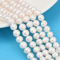 Морская Ракушка Нити из натурального культивированного пресноводного жемчуга, картофель, класс 2а+, цвет морской раковины, 7~8 мм, отверстие : 0.7 мм, около 54~55 шт / нитка, 14.09~14.37 дюйм (35.8~36.5 см)