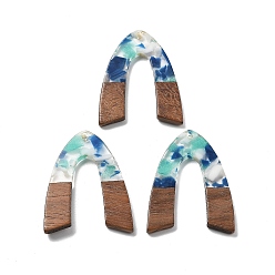 Голубой Подвески из смолы и ореха, голубой, 37.5x29x2.5 мм, отверстие : 2 мм