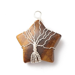 Тигровый глаз Природных тигровый глаз подвески, с обернутой медной проволокой серебристого цвета, звезда с деревом, 36x30x12 мм, отверстие : 3.5 мм